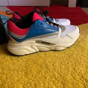 Christian Dior sneakers B22